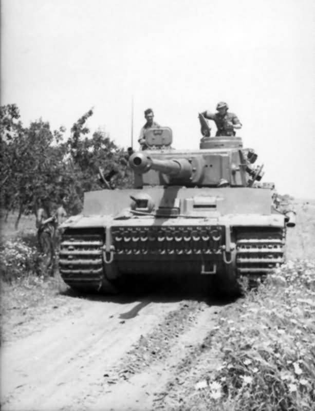 Panzer_VI_Tiger_504_131_Tunisia